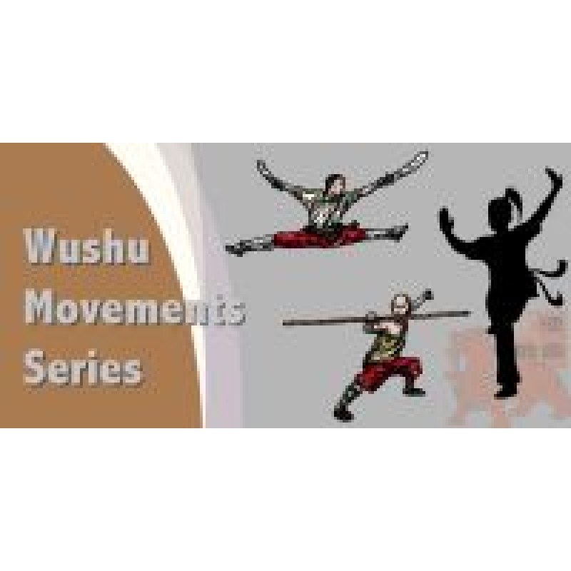 Wushu Designs