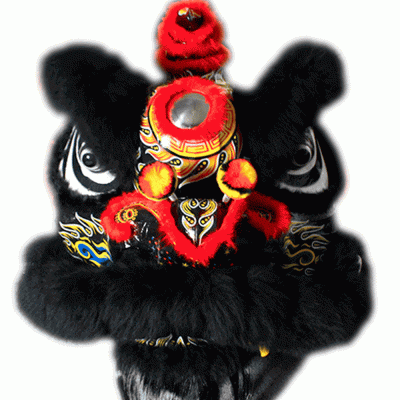 D1308 - Black Lion Dance Costume